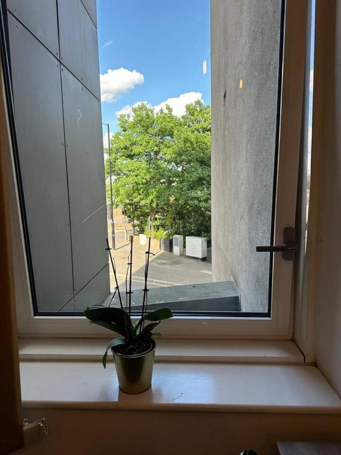 New Build 2 Bedroom With 2 Bath In 런던 외부 사진